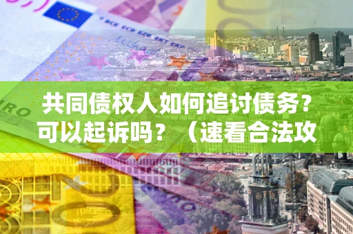 济南共同债权人如何追讨债务？可以起诉吗？（速看合法攻略）